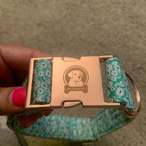 Mr. Chubbyface Floral Dog Collar